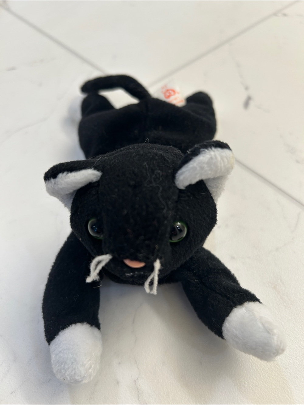 Beanie baby Zip cat